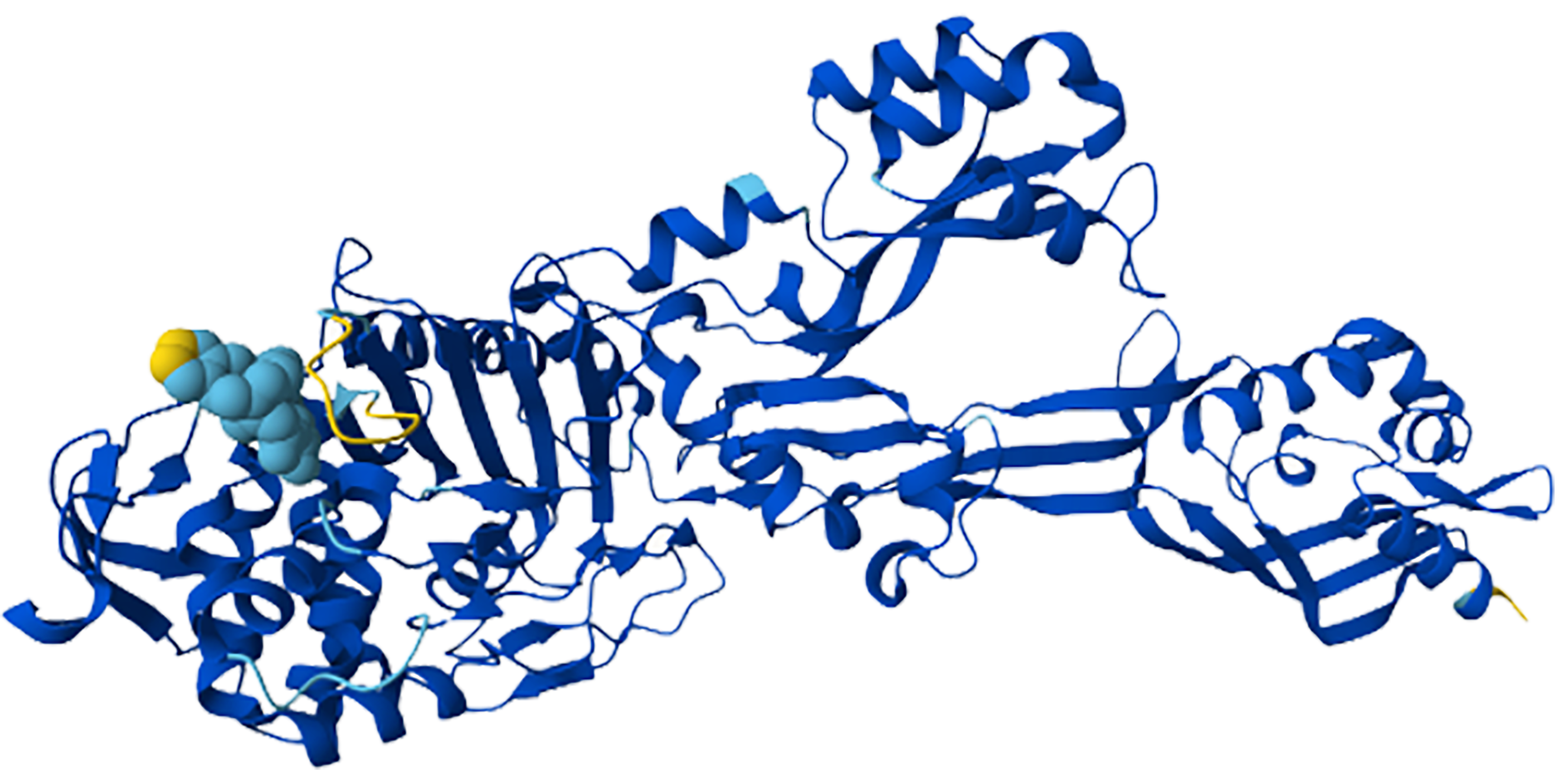 Scientific visualization